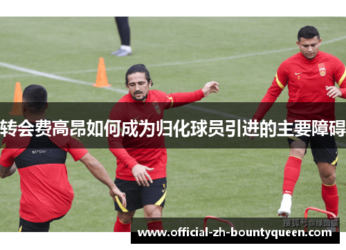 转会费高昂如何成为归化球员引进的主要障碍